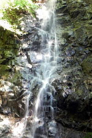 DSCN9530