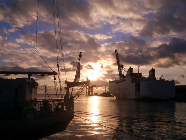 cimg8815.jpg
