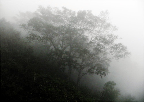 DSCN9024