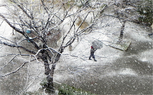 DSCN9060 - コピー