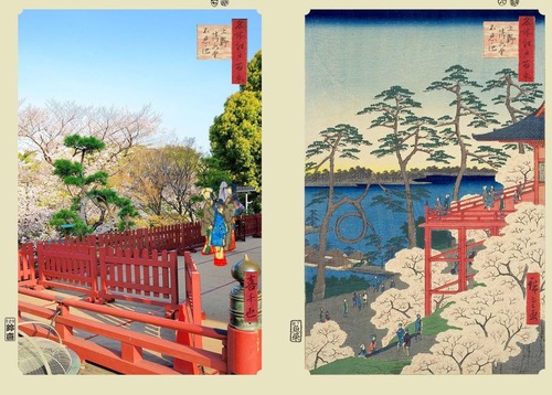 上野不忍の池　正