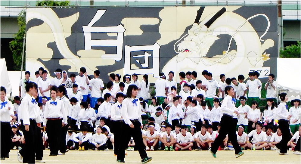 Drecom Isao Oのブログ 泉陽高校体育祭 14 その5 白団応援パネル