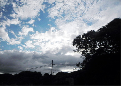 DSCN3067