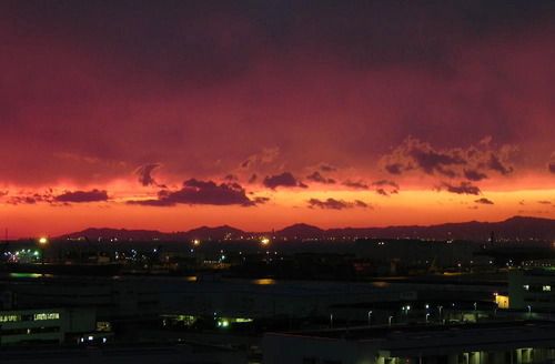 DSCN6521 - コピー