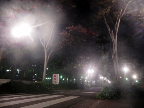 DSCN7481　夜の南港中　