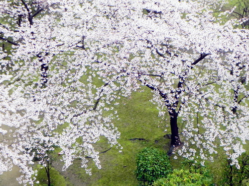 DSCN8055