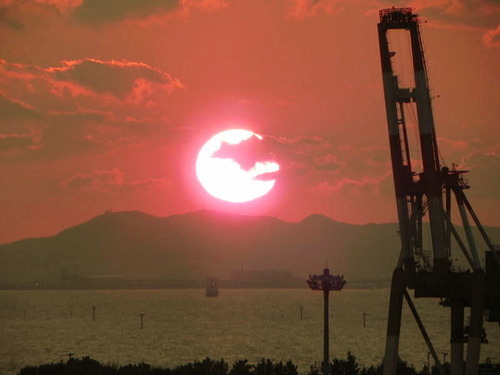 DSCN9920 - コピー