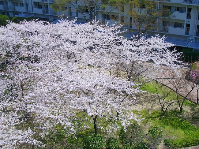 cimg9045.jpg