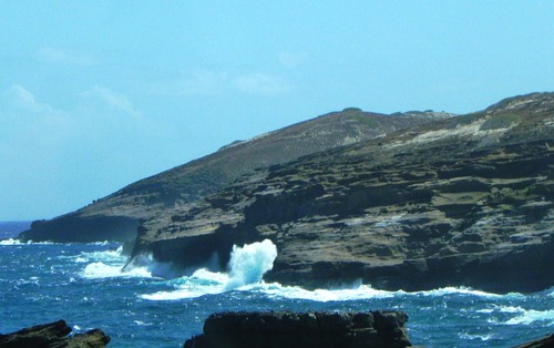 DSCN8379