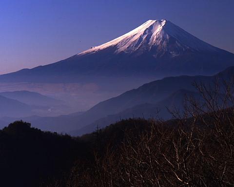 3029080 大樺ノ頭から