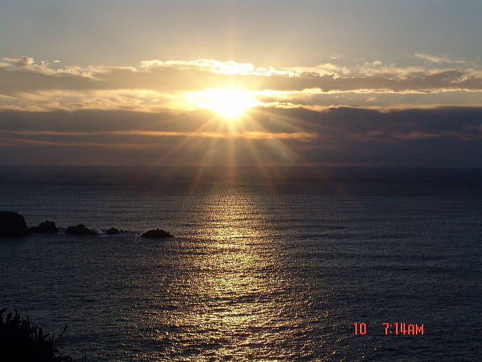 dsc00021.jpg