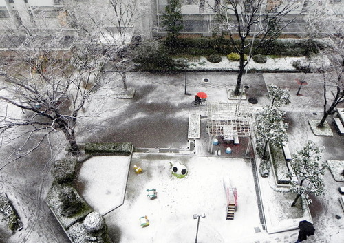 DSCN9058 - コピー