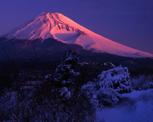 3030325 越前岳から