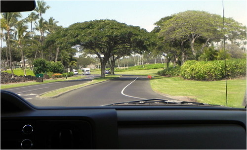 DSCN0129