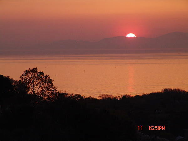 dsc01351.jpg