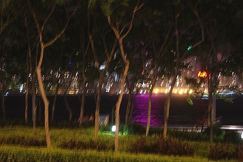 DSC01851
