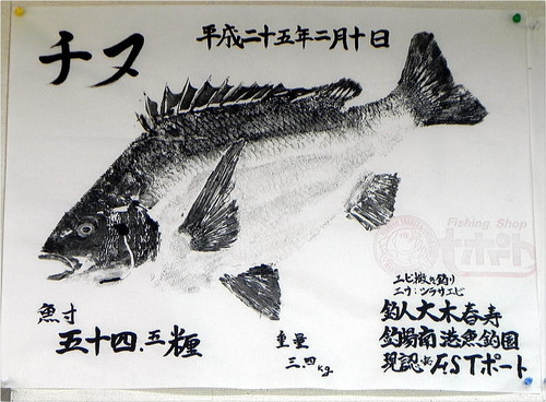 DSCN8846