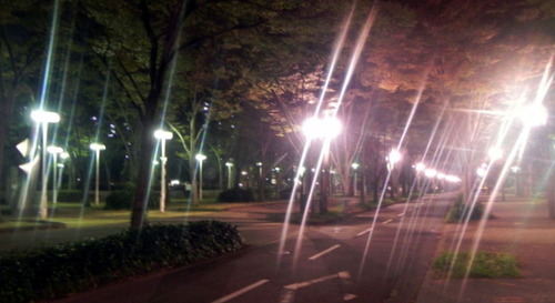 DSCN7489