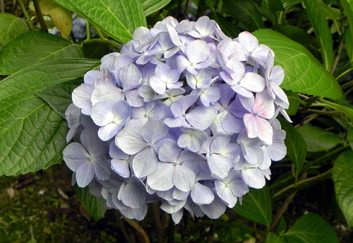 DSCN1437