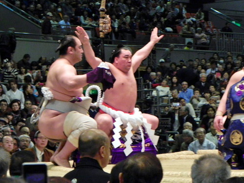 DSCN9178