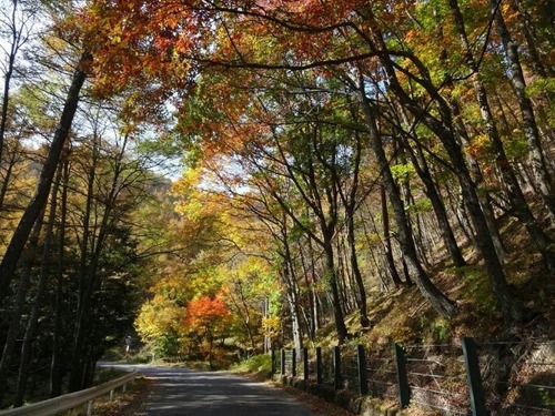 和田峠の秋