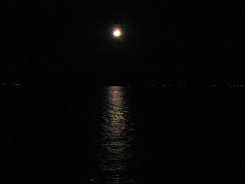 DSCN7440