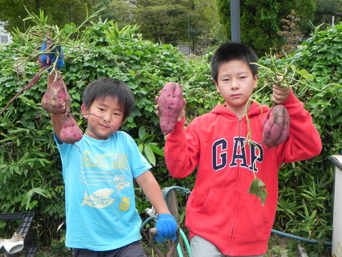 DSCN8933 - コピー