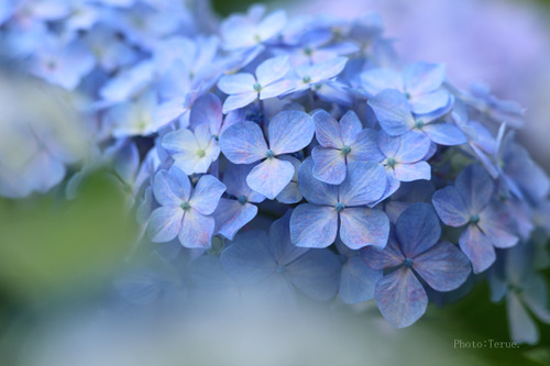6fd6b51b3685af5a9b2ac10b0ab1e397