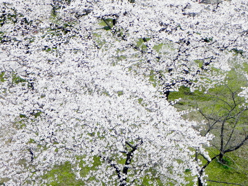 DSCN8057