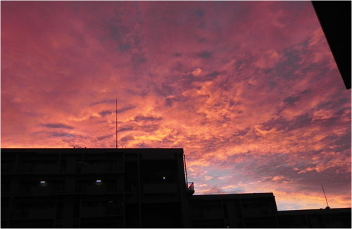 DSCN8863