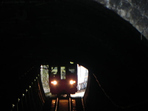 DSCN6705