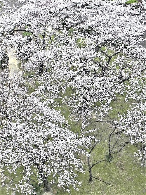 DSCN0145