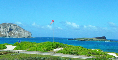 DSCN8367