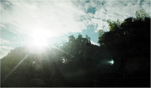 DSCN3092