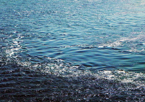 DSCN5466 - コピー