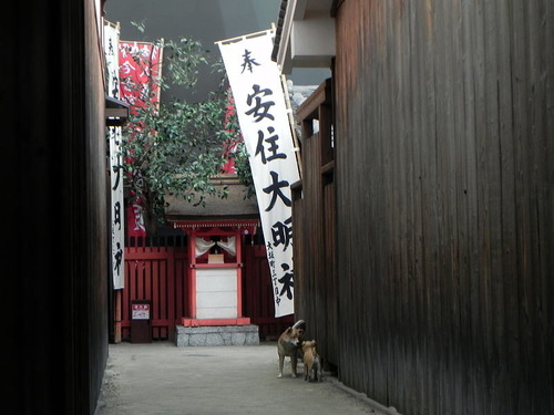 DSCN8191