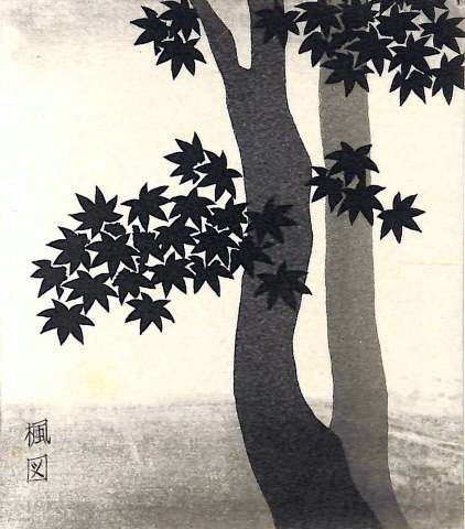 斉藤カオル　源氏物語　５　楓