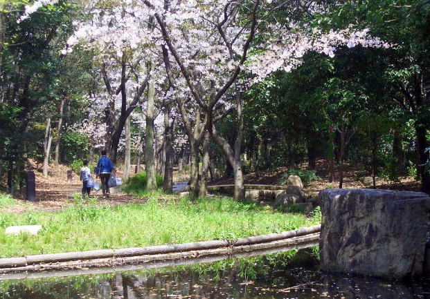 cimg9039.jpg