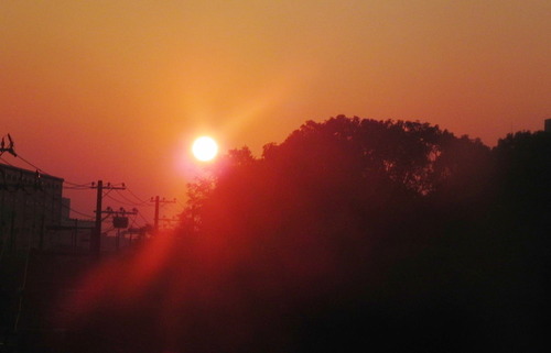 DSCN7474