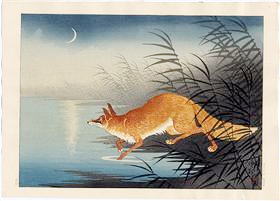 小原古邨　狐　小