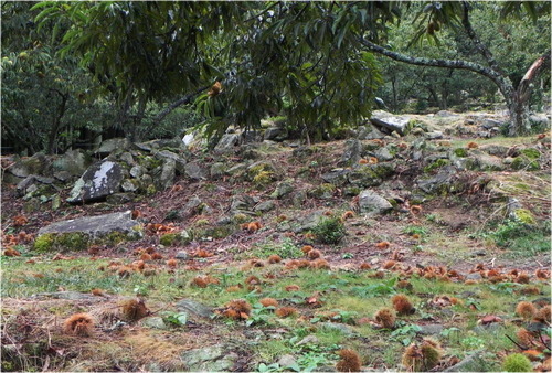 DSCN9358