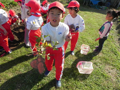 DSCN6794