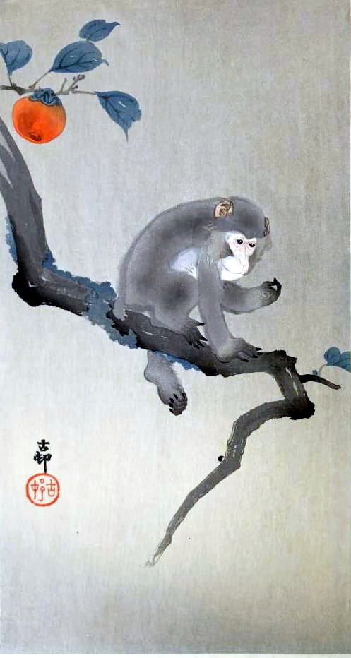 小原古邨　版画　画像　柿に猿３