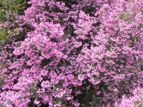 DSCN8038