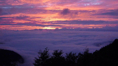 408736_164639726993819_327657594_n