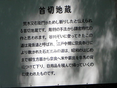 DSCN5311