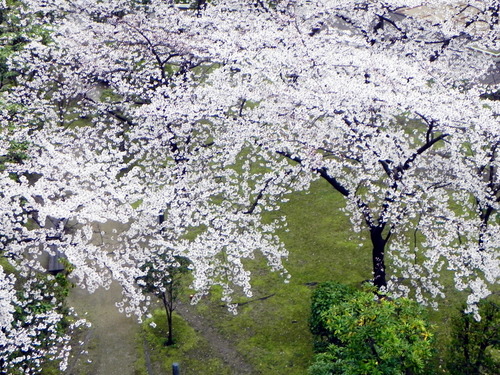 DSCN8046