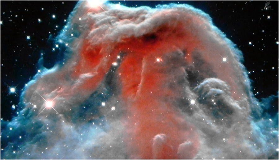 Drecom Isao Oのブログ ハッブル宇宙望遠鏡の世界 馬頭星雲