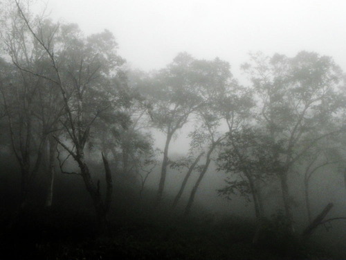 DSCN9050