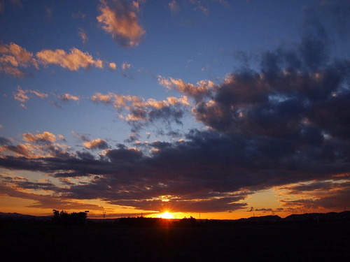 60051959  神通川土手の夕日